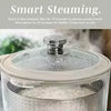 2026 Glass Mini Low Carb Rice Cooker – 2-Cup Capacity with Auto Lift Filter