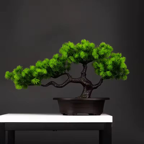 27cm Artificial Pine Bonsai Plant