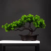 27cm Artificial Pine Bonsai Plant