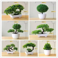 27cm Artificial Pine Bonsai Plant