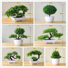 27cm Artificial Pine Bonsai Plant