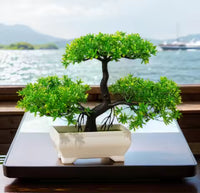 27cm Artificial Pine Bonsai Plant