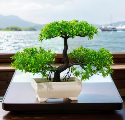 27cm Artificial Pine Bonsai Plant